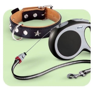Laisse, harnais & collier