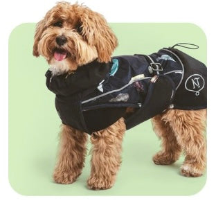 Vêtements pour chiens