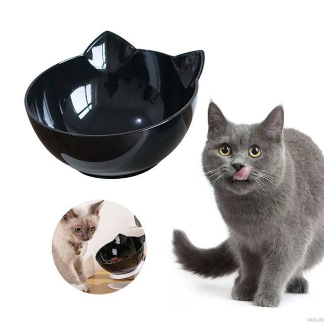 Collier chien durable