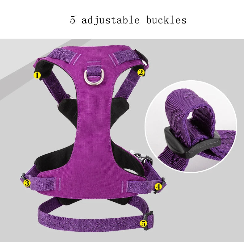 Harnais chien étanche