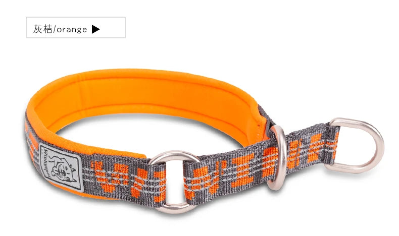 Collier chien réfléchissant