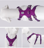 Harnais chien étanche