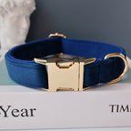 Collier chien velours bleu personnalisé premium