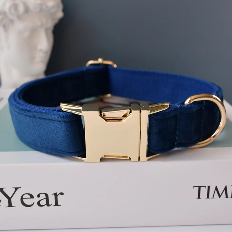 Collier chien velours bleu personnalisé premium