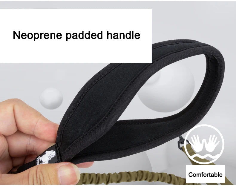 Laisse chien durable