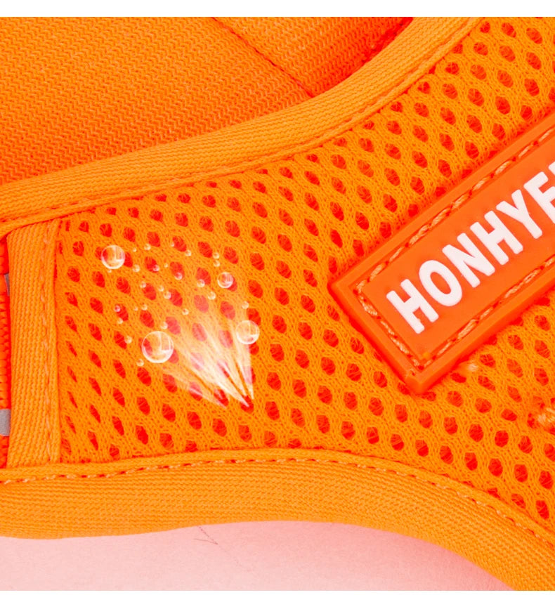 Harnais chien réfléchissant