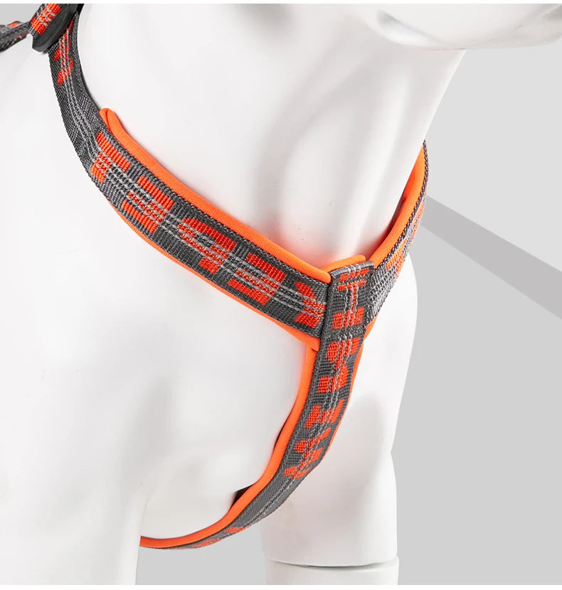 Harnais chien réfléchissant