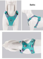 Harnais chien réfléchissant