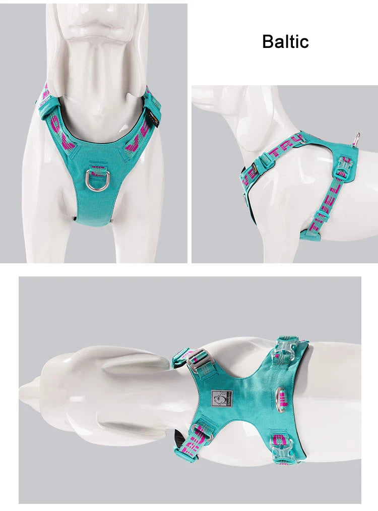 Harnais chien réfléchissant