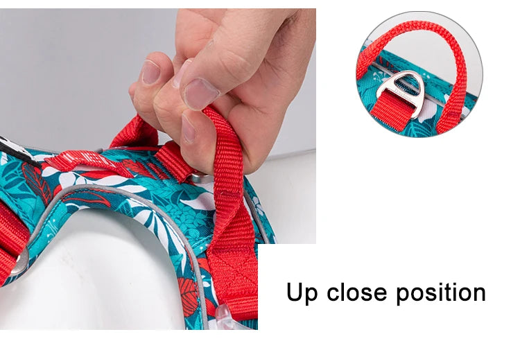 Harnais chien réfléchissant