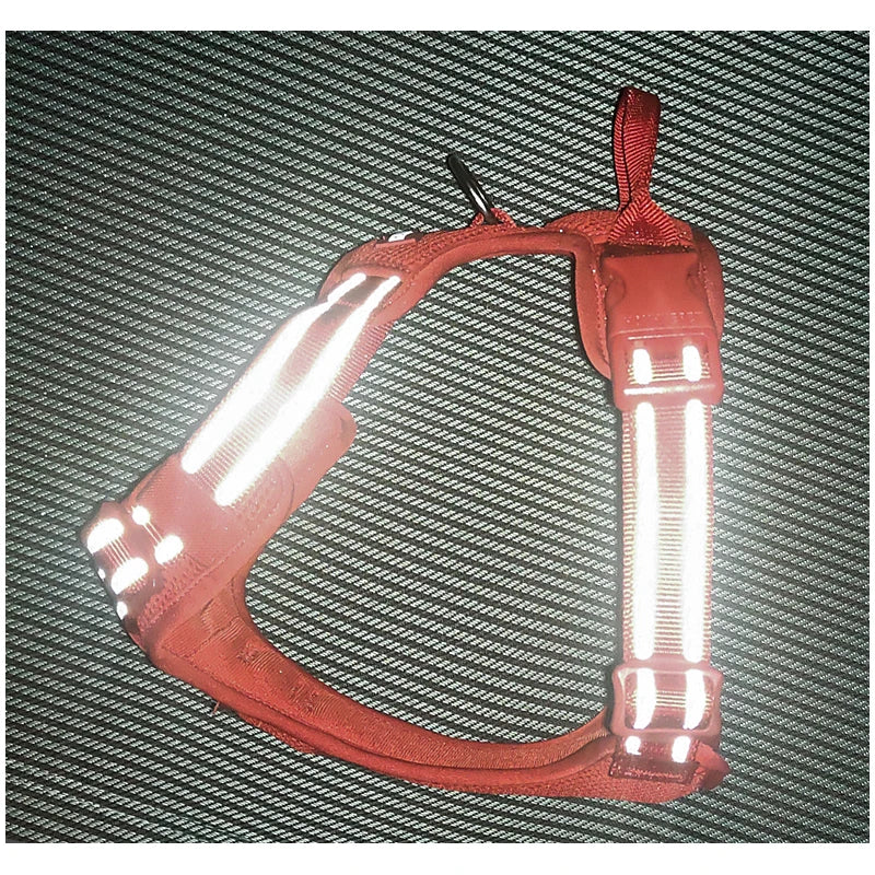 Harnais chien réfléchissant