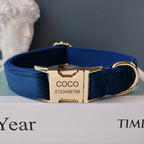 Collier chien velours bleu personnalisé premium