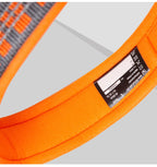 Collier chien réfléchissant