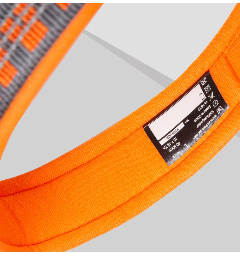 Collier chien réfléchissant