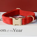 Collier velours rouge personnalisé pour chien