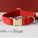 Collier velours rouge personnalisé pour chien