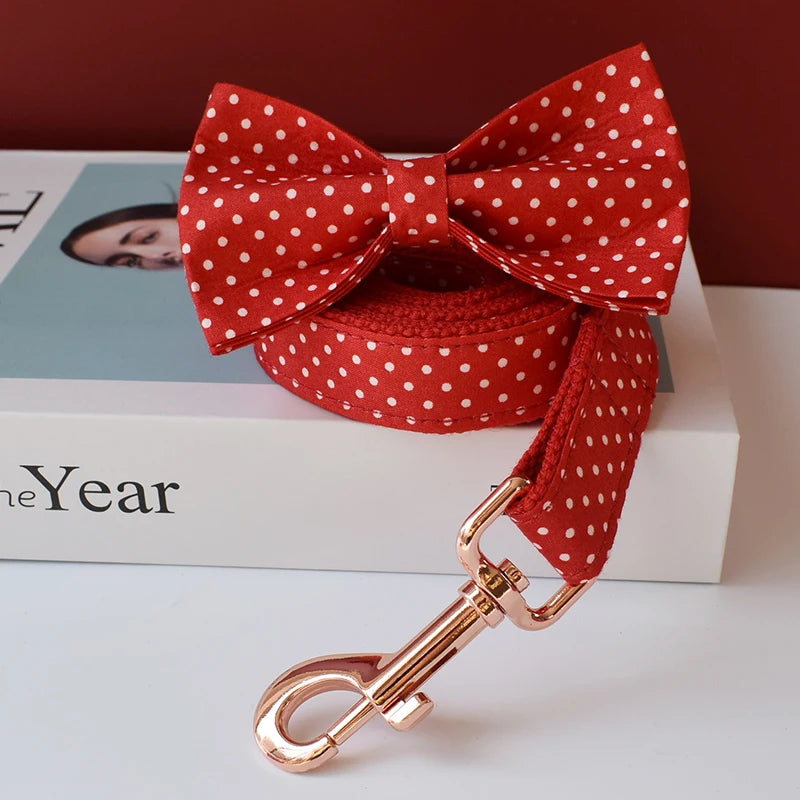 Collier chien rouge à point blanc