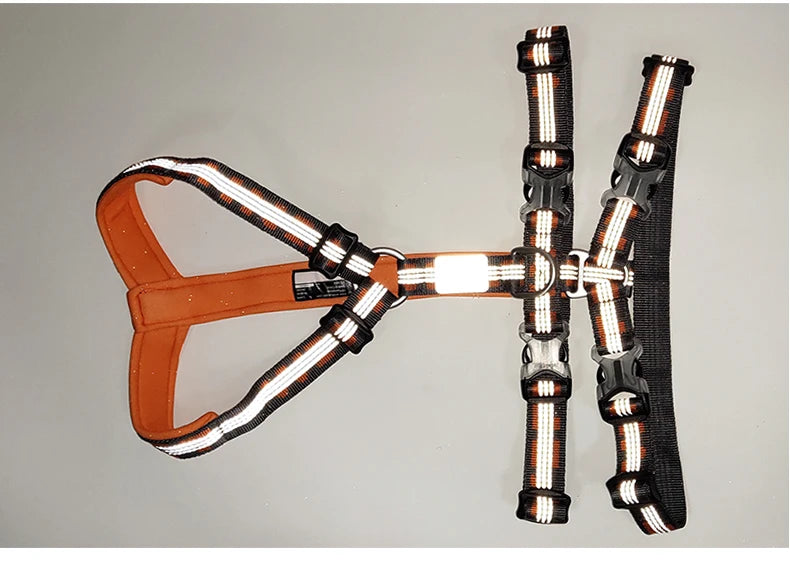 Harnais chien réfléchissant