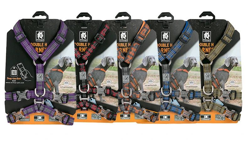 Harnais chien réfléchissant