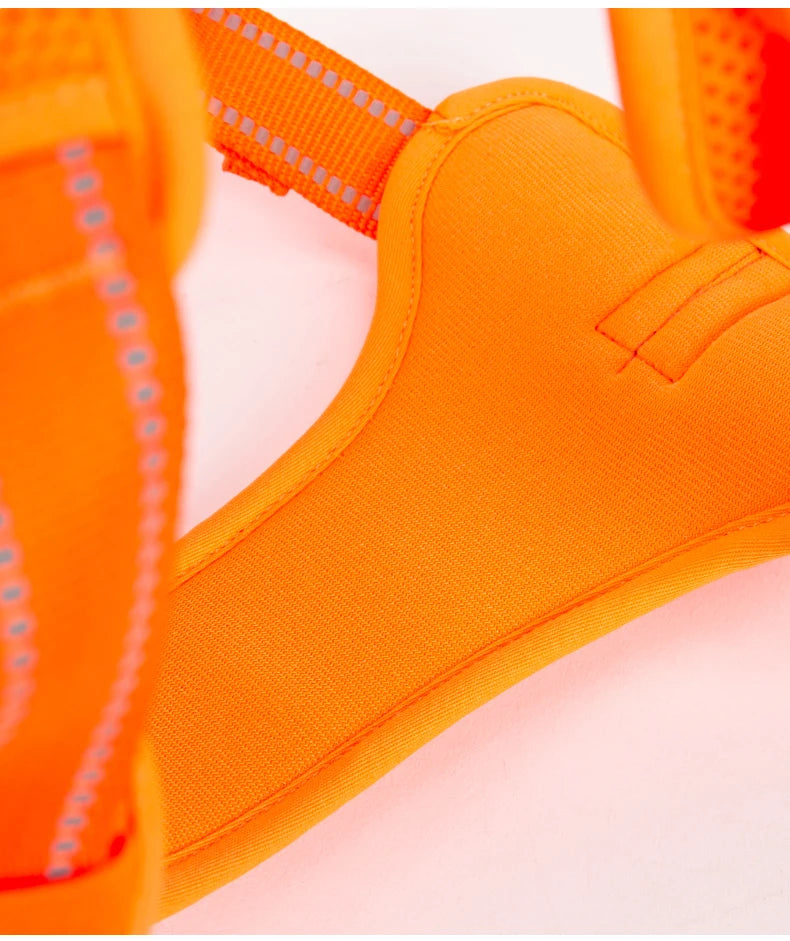 Harnais chien réfléchissant