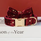 Collier chien velours bordeaux personnalisé étoiles