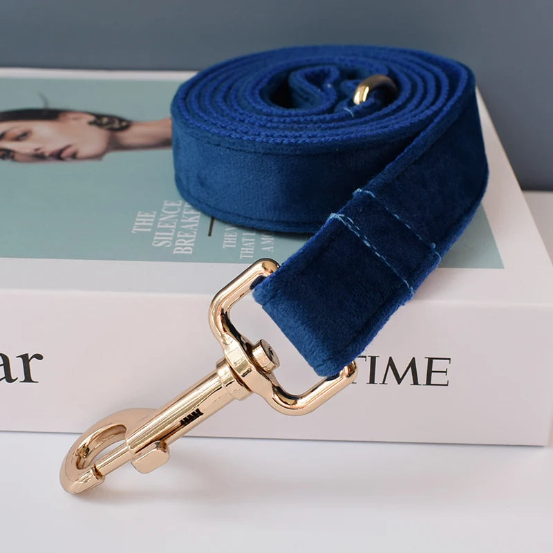 Collier chien velours bleu personnalisé premium