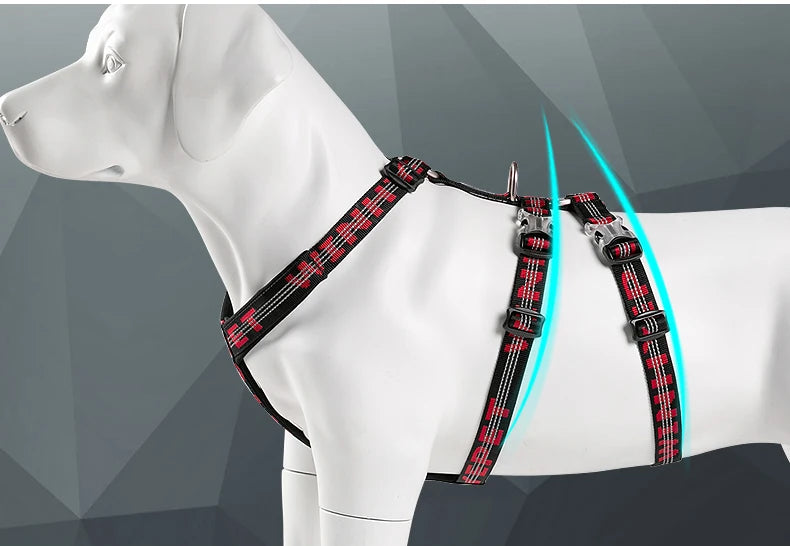 Harnais chien réfléchissant