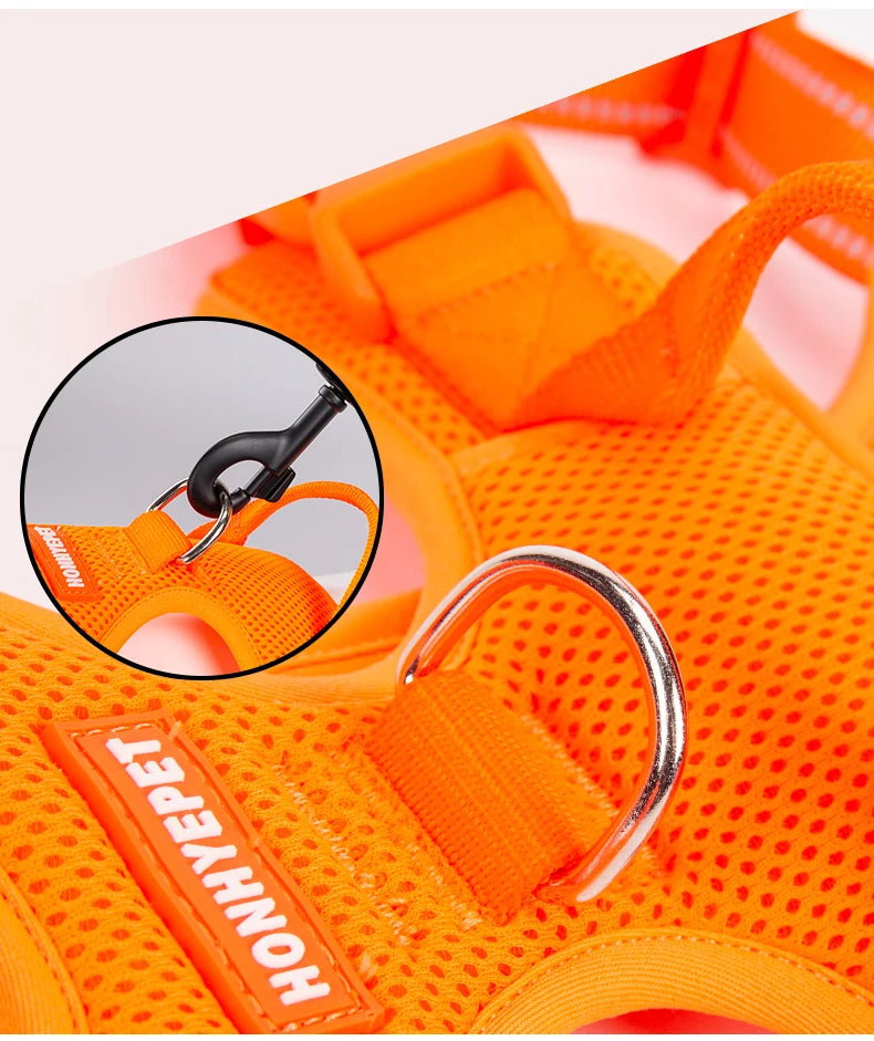 Harnais chien réfléchissant