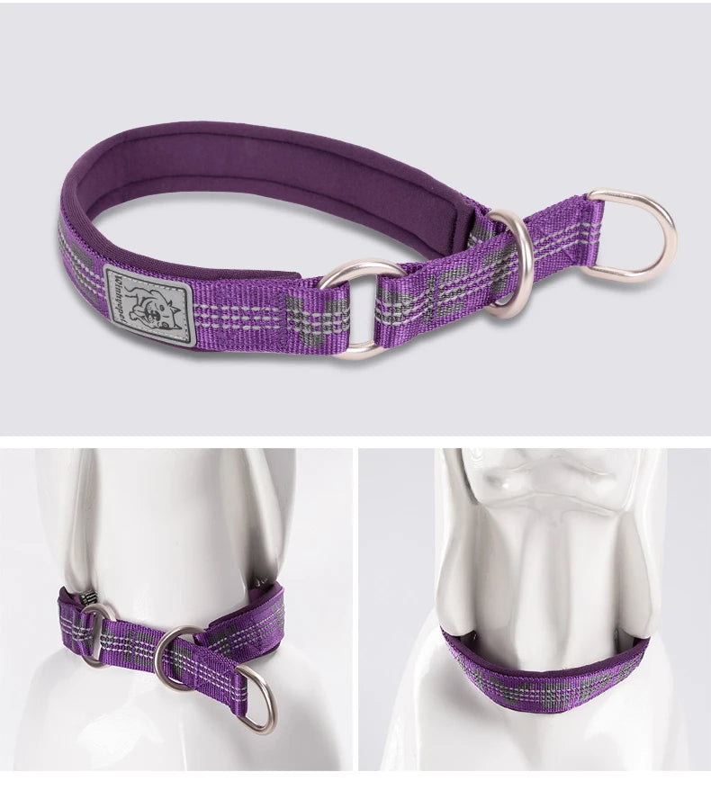 Collier chien réfléchissant