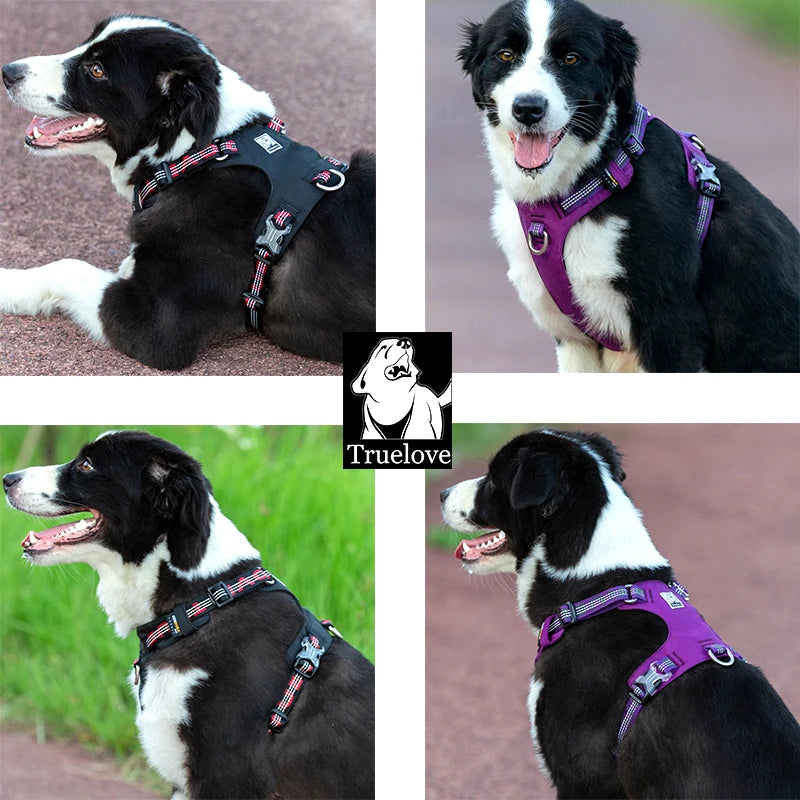 Harnais chien réfléchissant