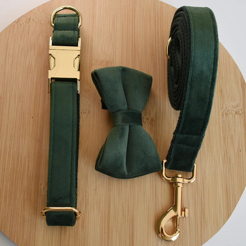 Collier chien imprimé personnalisé premium