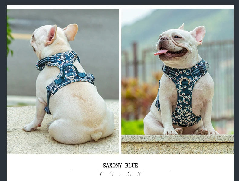 Harnais chien anti-traction