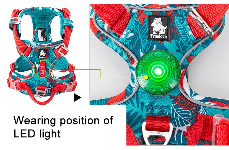 Harnais chien réfléchissant