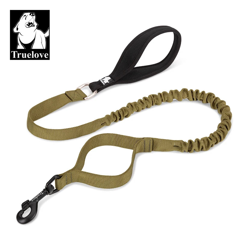 Laisse chien durable