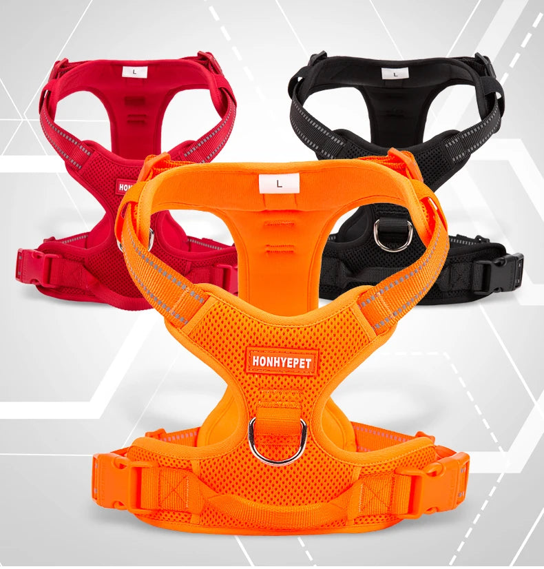 Harnais chien réfléchissant