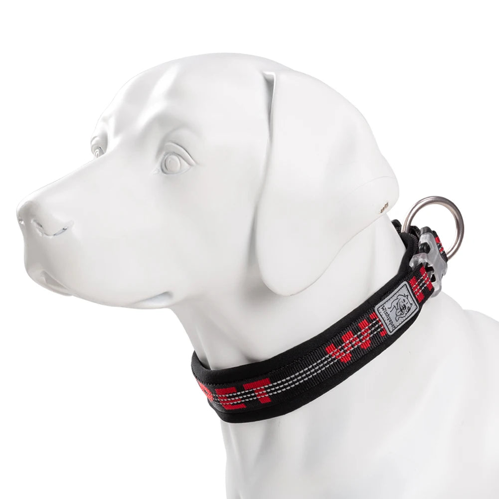 Collier chien réfléchissant