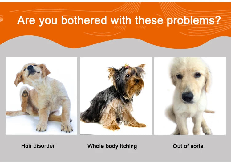 Brosse à chien Soins durable