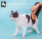 Brosse à chien Soins durable