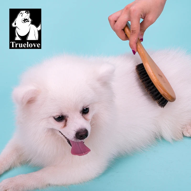 Brosse à chien Soins durable