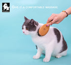 Brosse à chien Soins durable