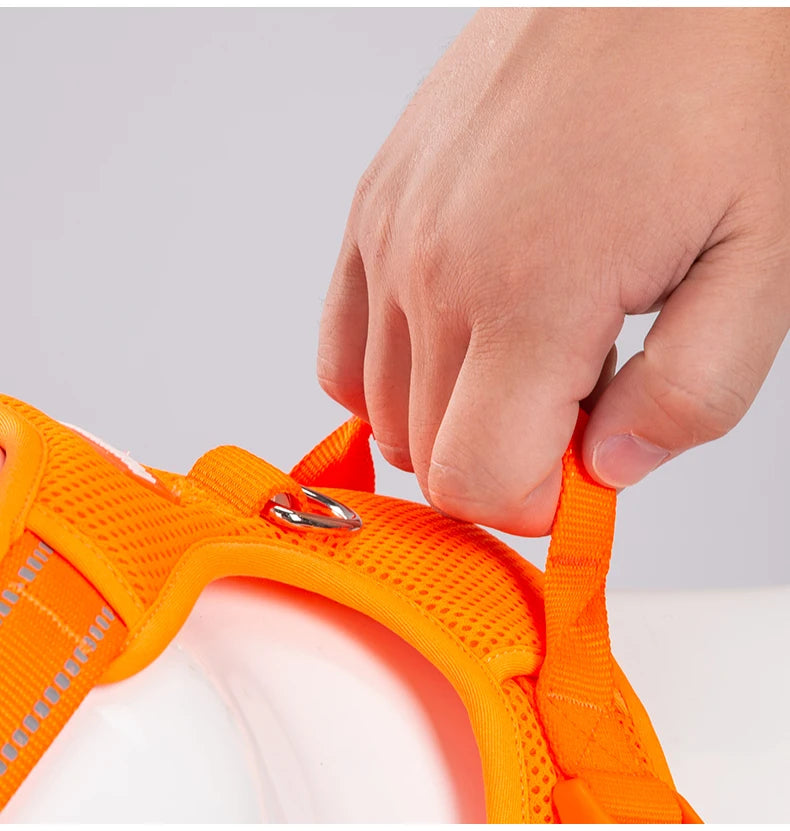 Harnais chien réfléchissant