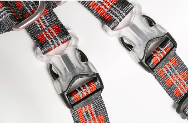 Harnais chien réfléchissant