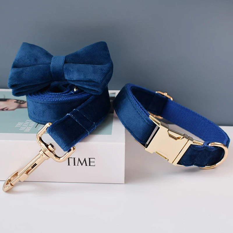 Collier chien velours bleu personnalisé premium