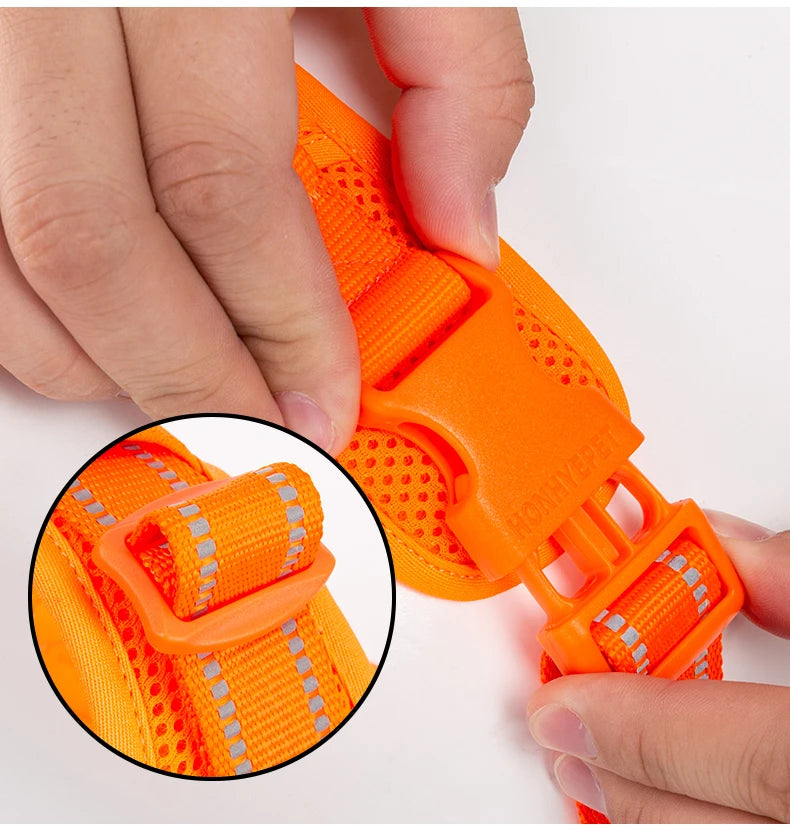 Harnais chien réfléchissant