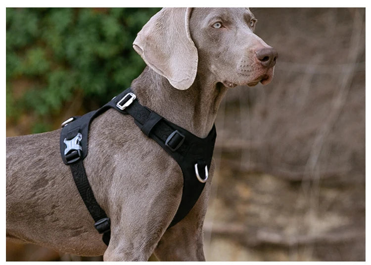 Harnais chien réfléchissant