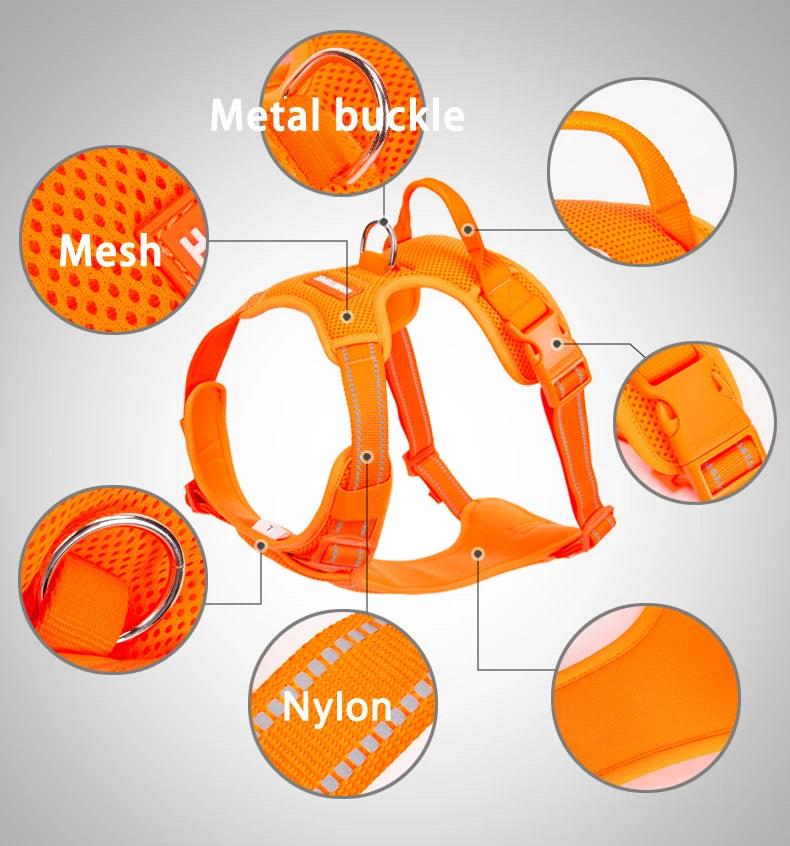 Harnais chien réfléchissant