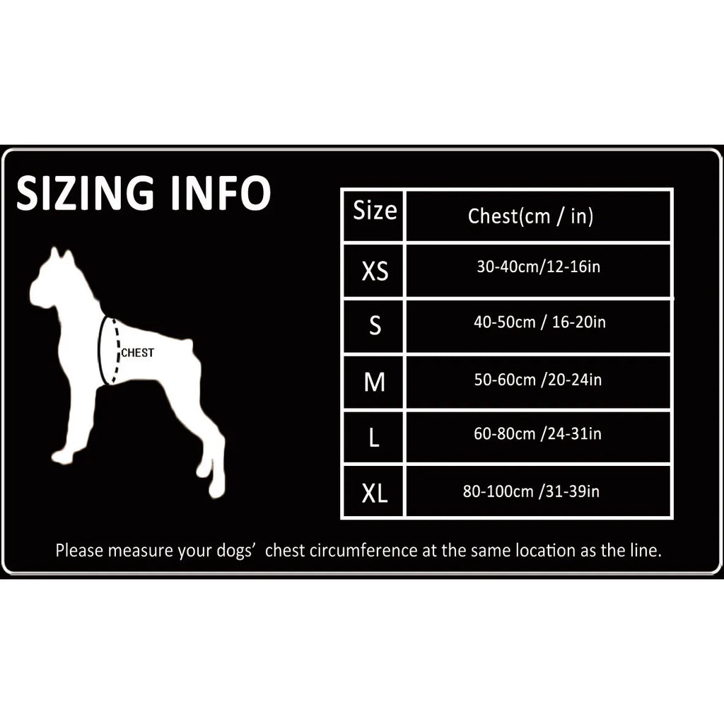 Harnais chien réfléchissant