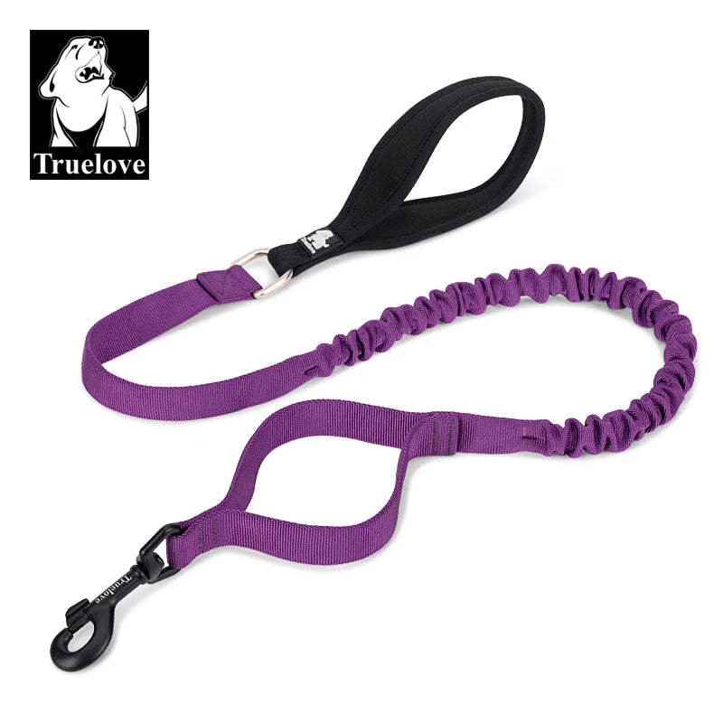 Laisse chien durable