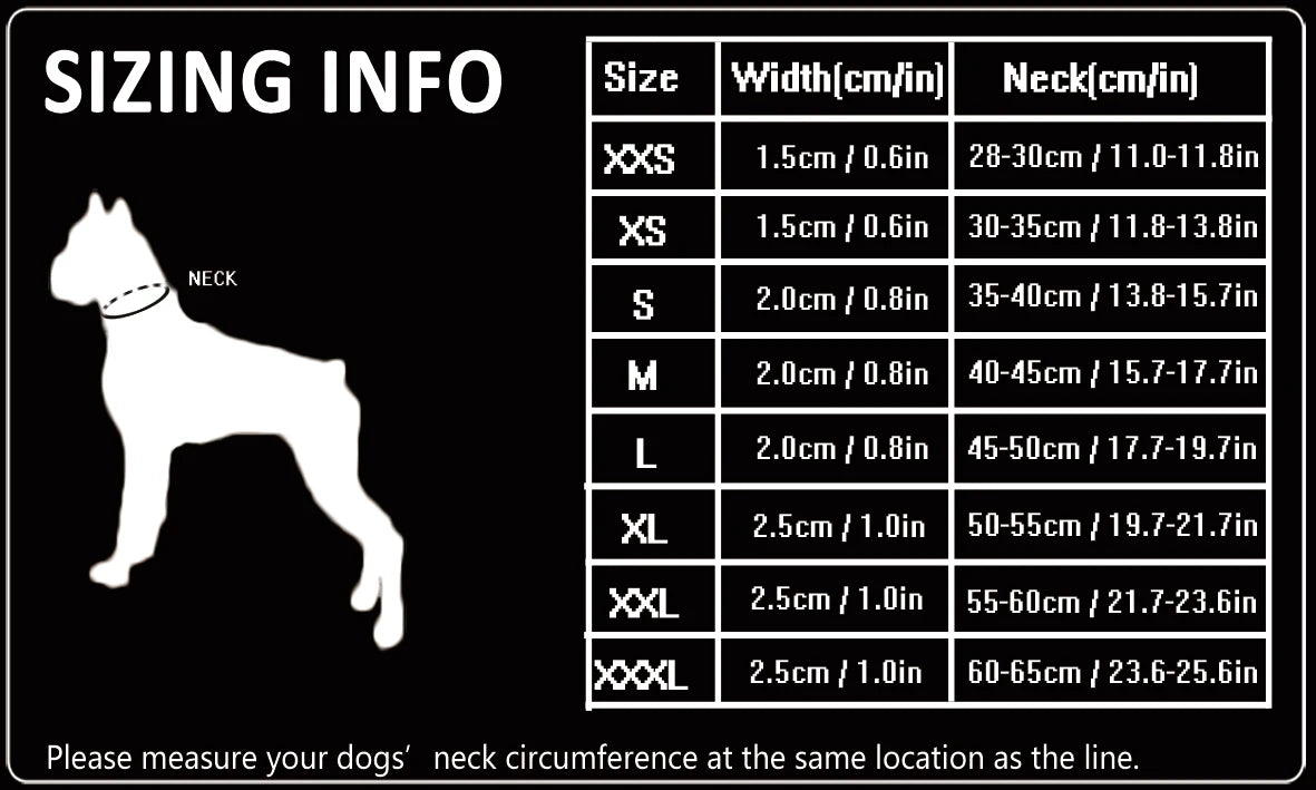 Collier chien réfléchissant