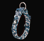 Collier chien